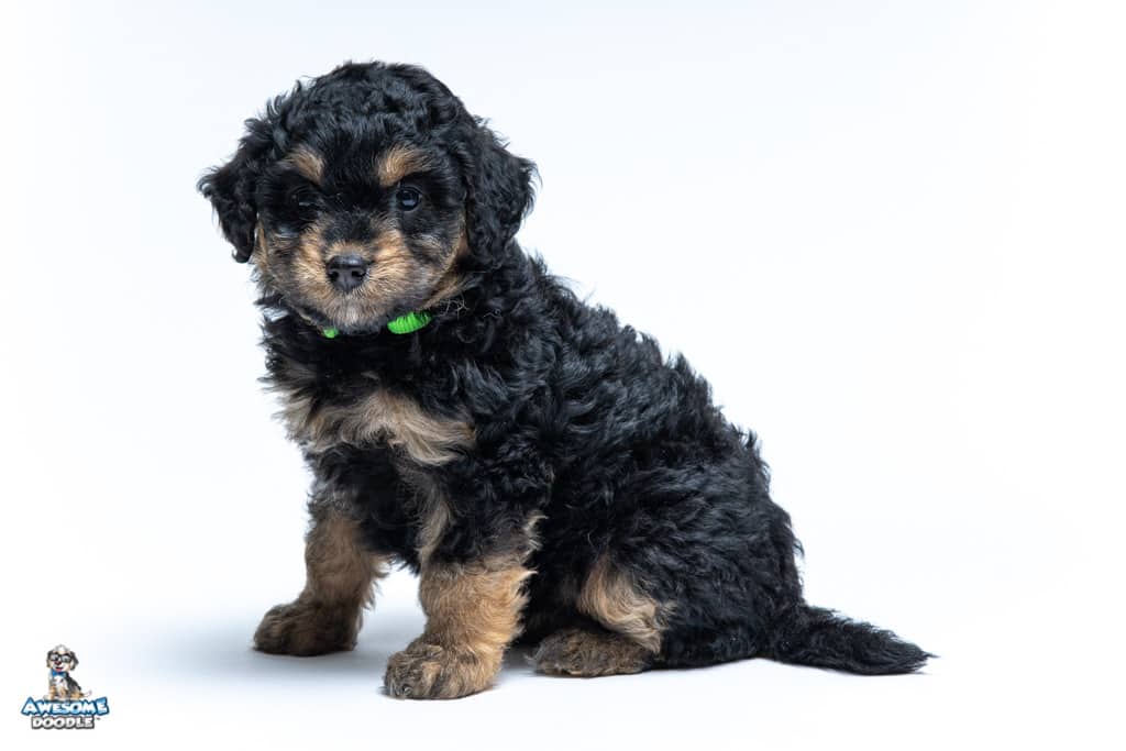 mable7wks