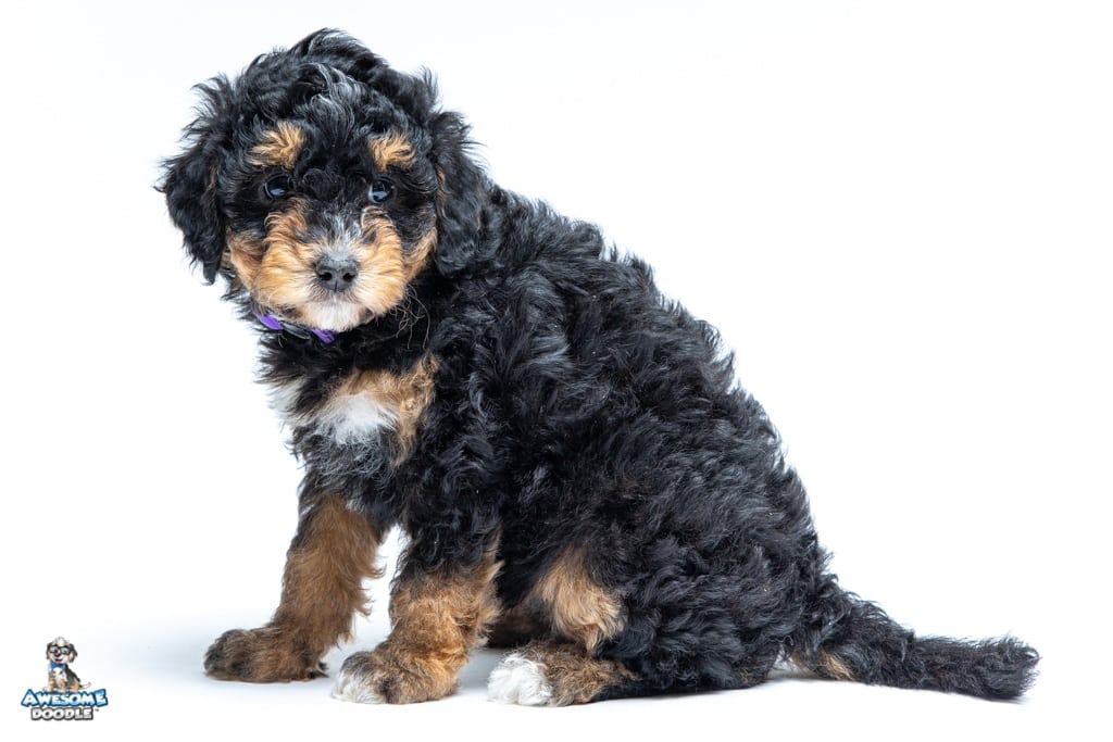 riley-7wks_0333