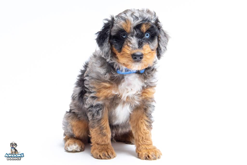micah-7wk_0889