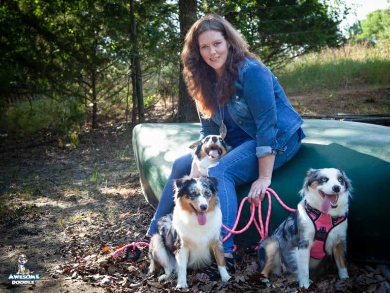 Aussiepoo and Bernedoodle Puppy Nursery AwesomeDoodle