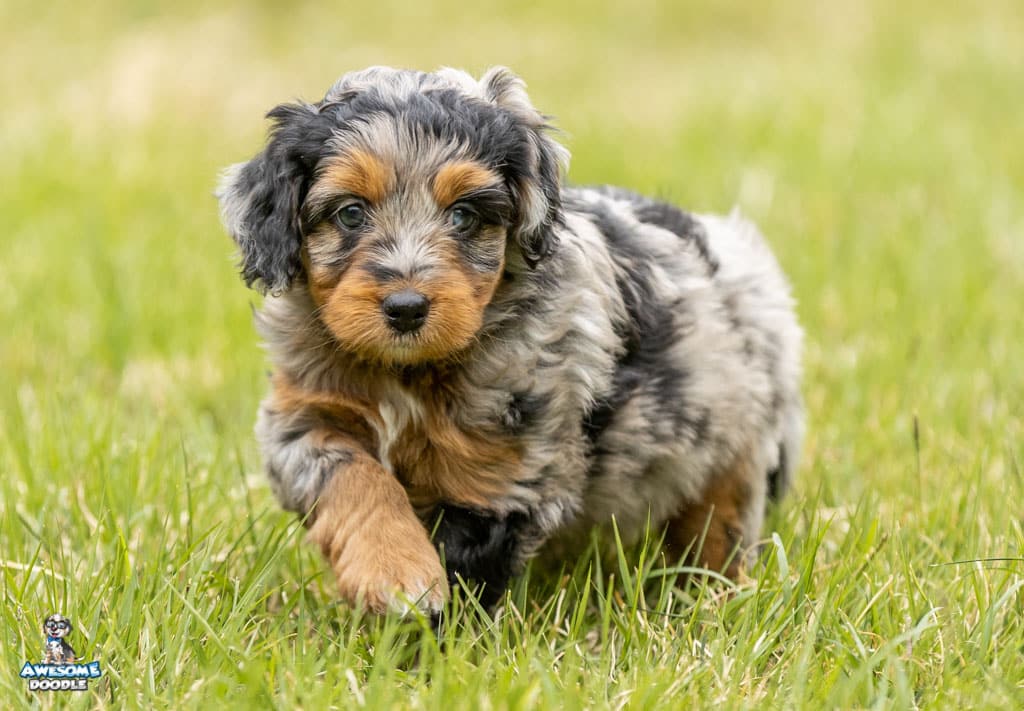 tequila7wks47