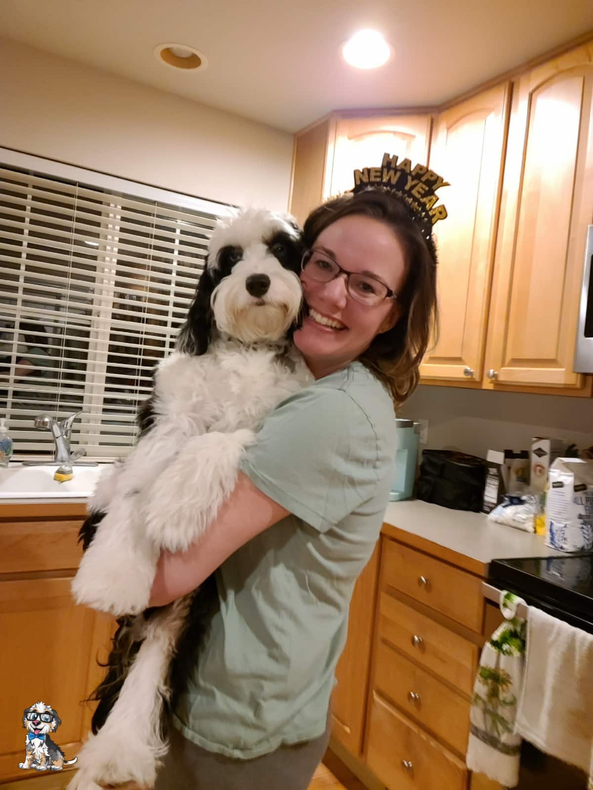 Teagan-aussiedoodle black and white aussiedoodle