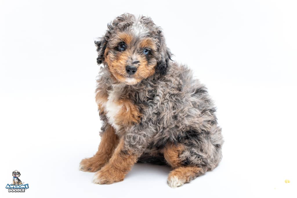 lilikoi-7wks_3469