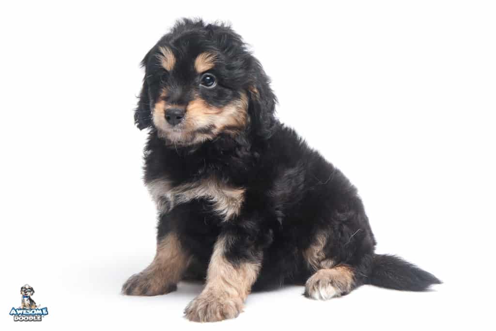 docholiday-7wks_0388