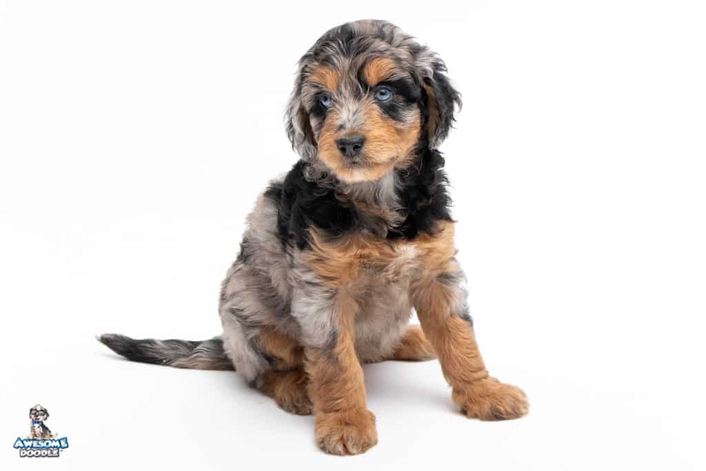 kida-7wks_3659