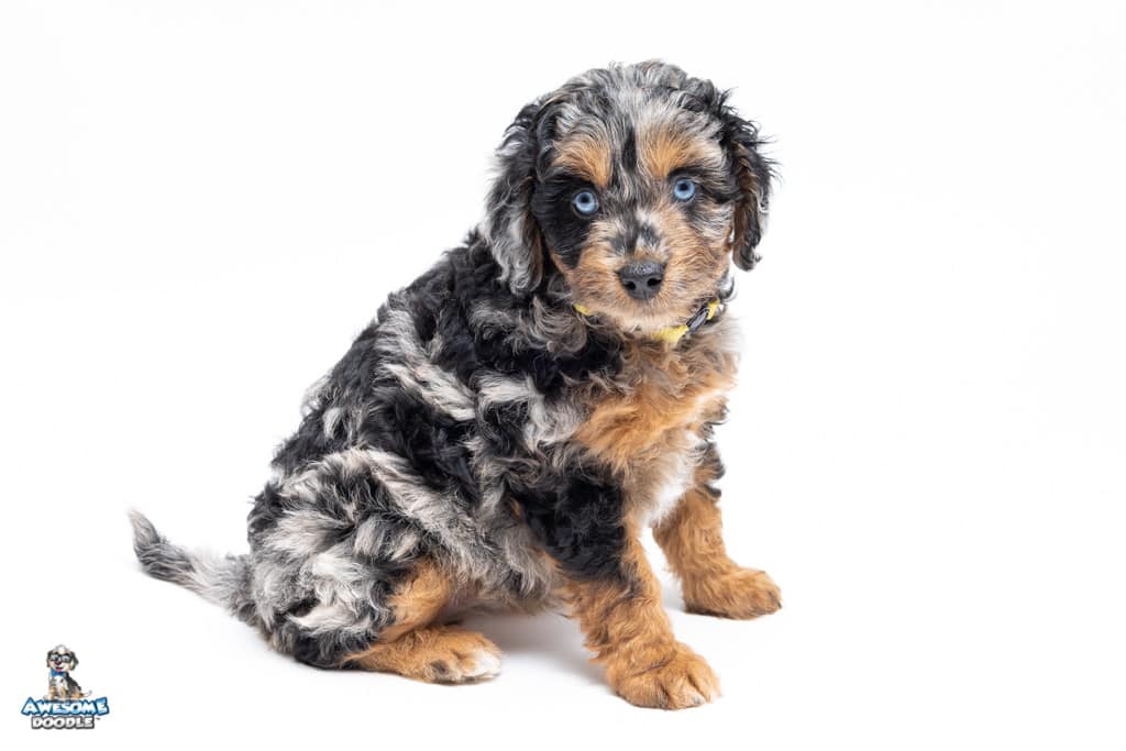 allie-7wks_2659