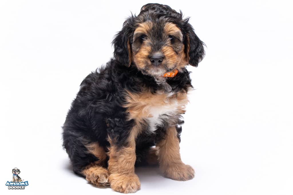 george-7wks_6986