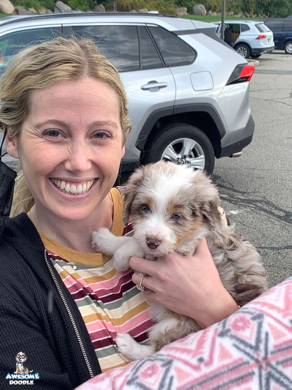red merle aussiedoodle puppy with white and copper and two blue eyes meets family
