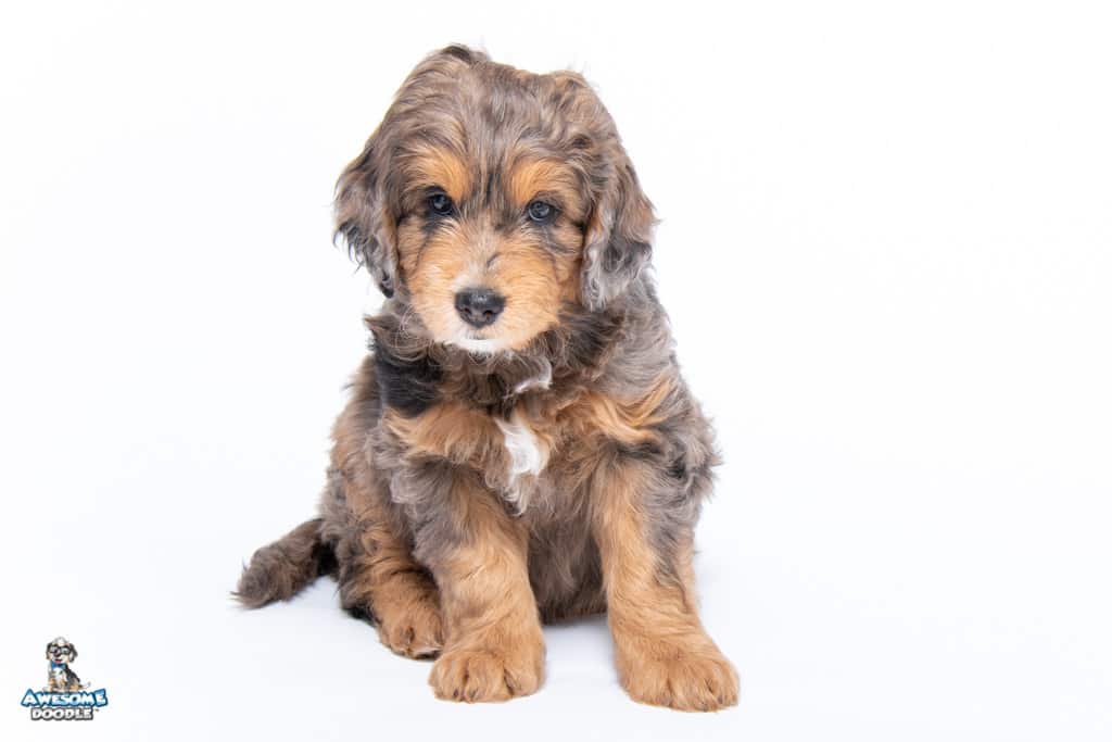 slider-7wks51