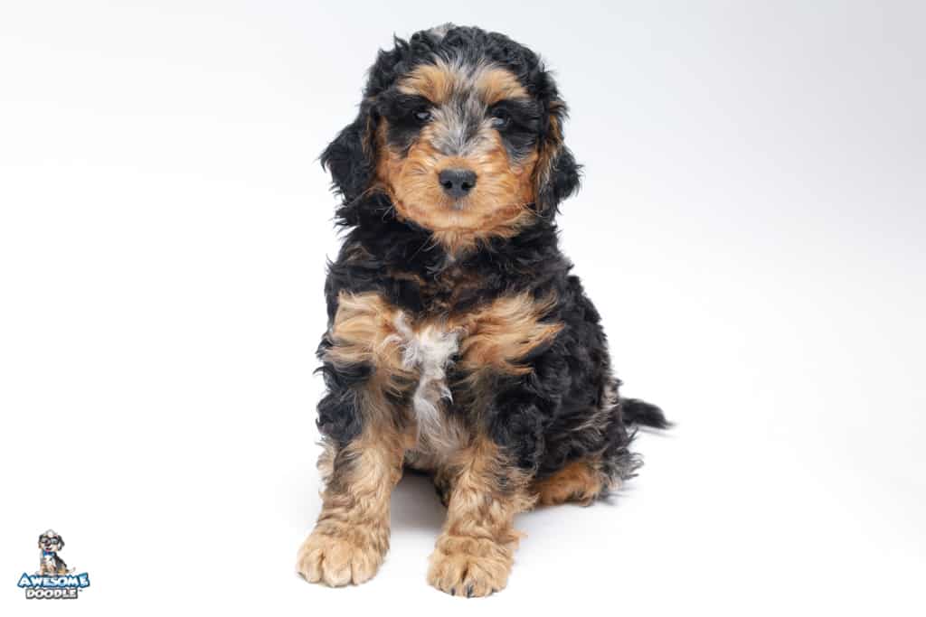 selene-8wks_4098