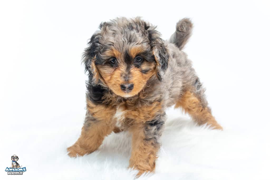 derek-7wks_0352