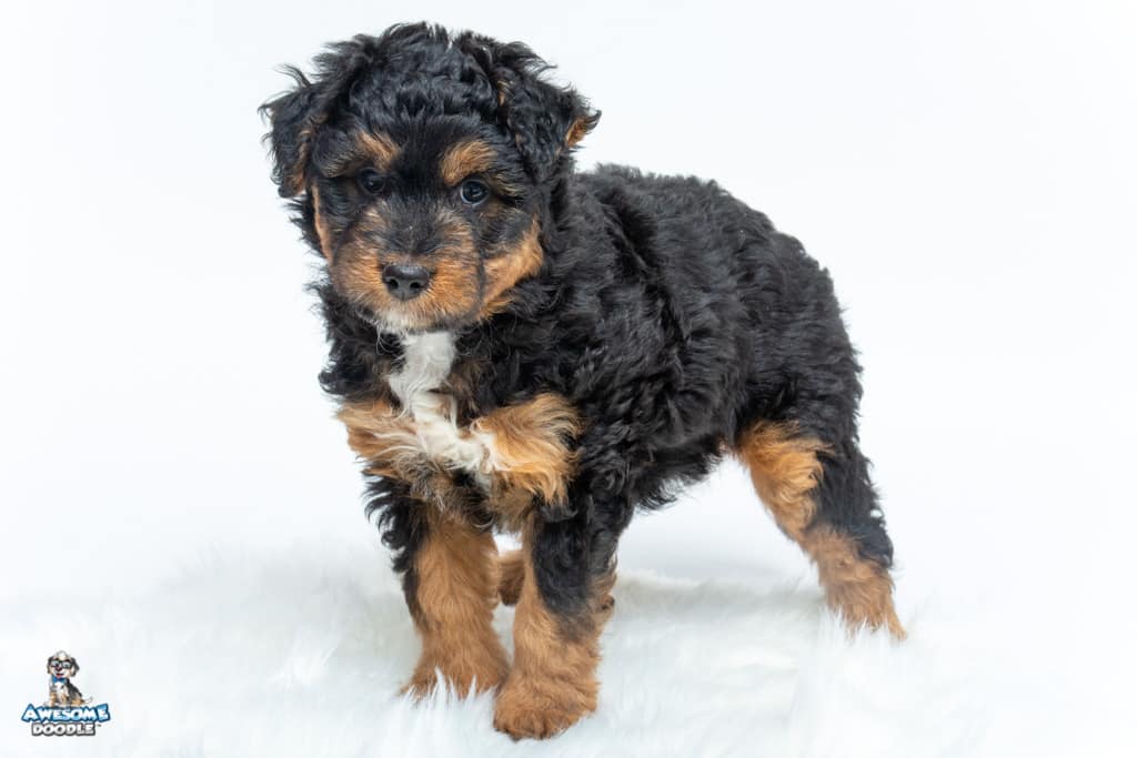 eva-7wks_0358