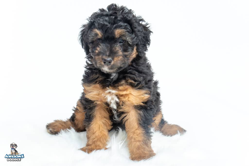 fiona-7wks_0335