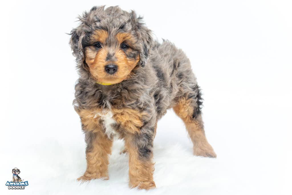 lucas-7wks_0367