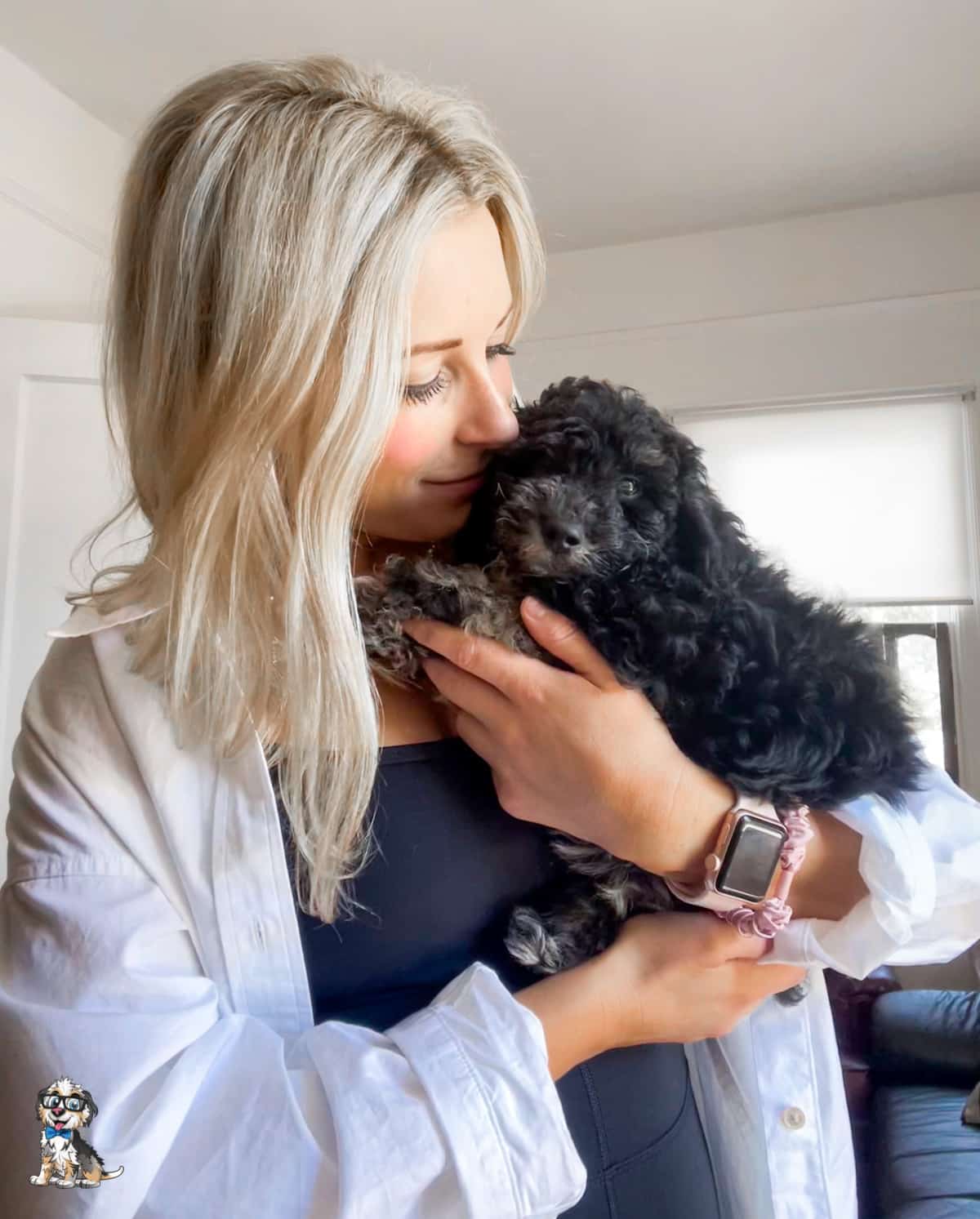 remy-aussiedoodle black tri f1b aussiedoodle puppy