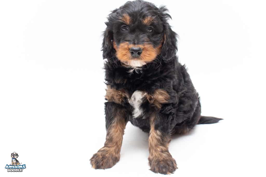 ricky-3wks_3328