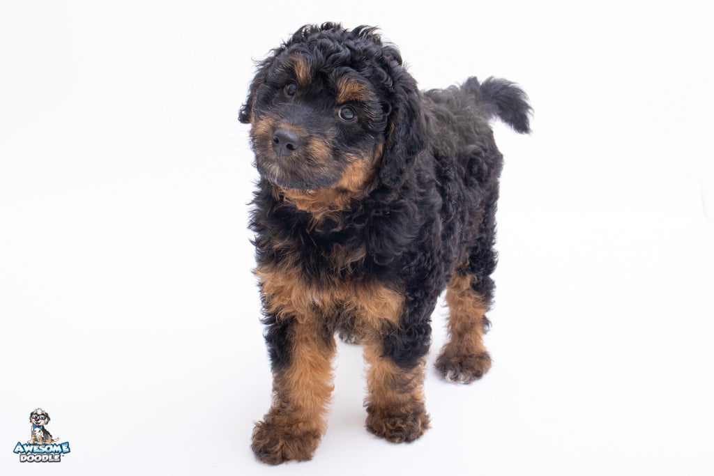 maisy7wks_1269
