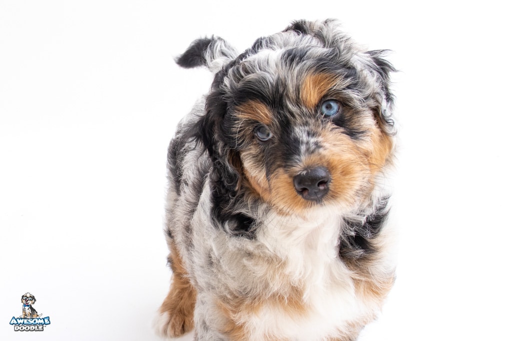 winnie7wks_1101