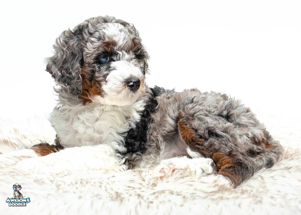 Love7weeks_2400