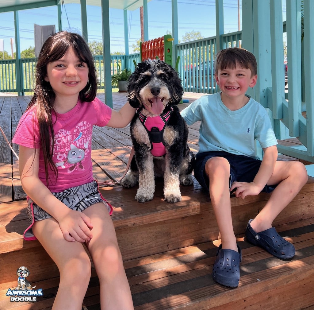 Greta-black-tri-bernedoodle-with-her-family black-tri-bernedoodle-puppy-with-kids