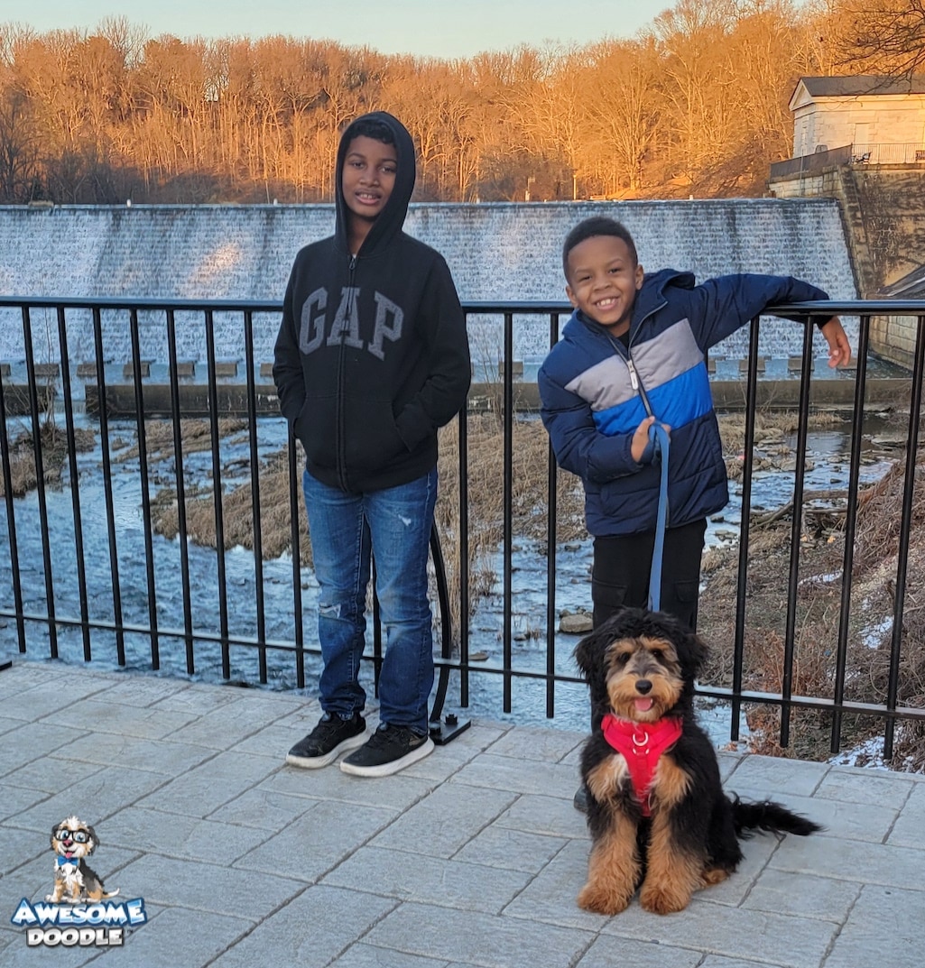 black-phantom-aussiedoodle-with-human-brothers phantom-aussiedoodle-with-family