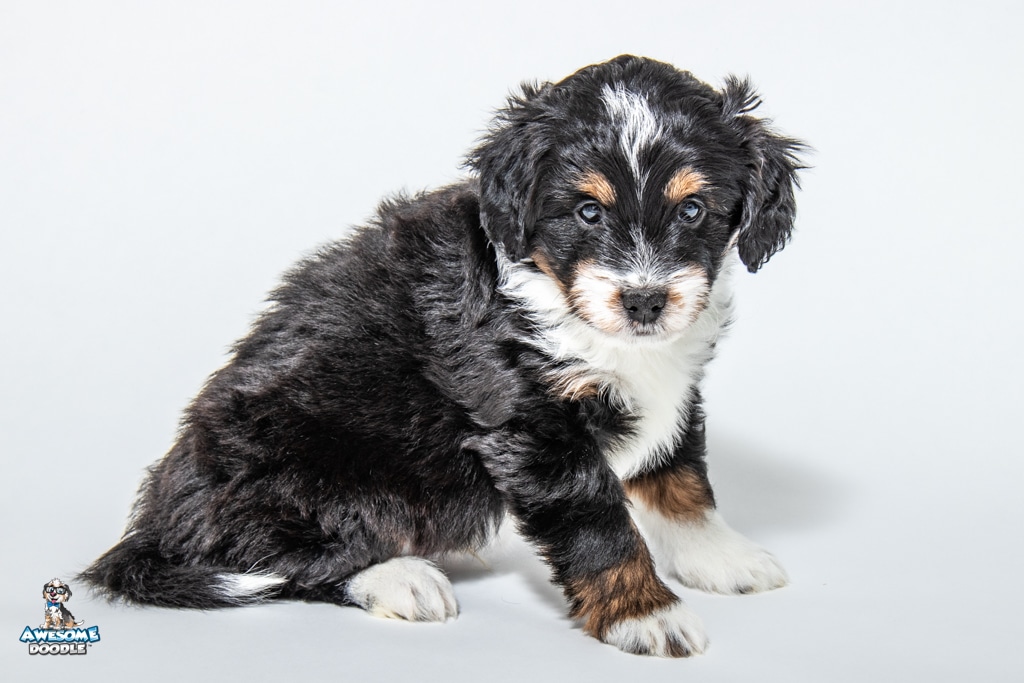 Tuck-7wks-07 03.44.53