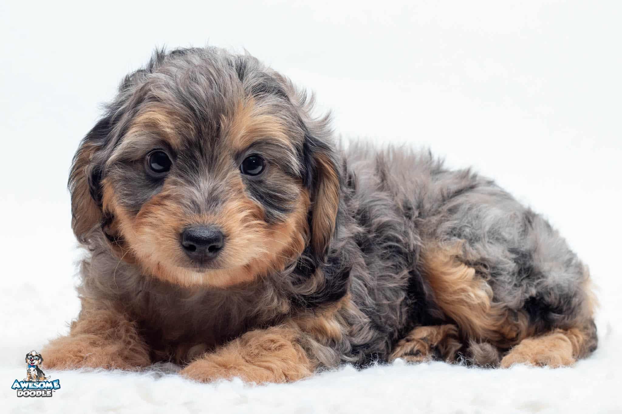 Murphy7wk1420