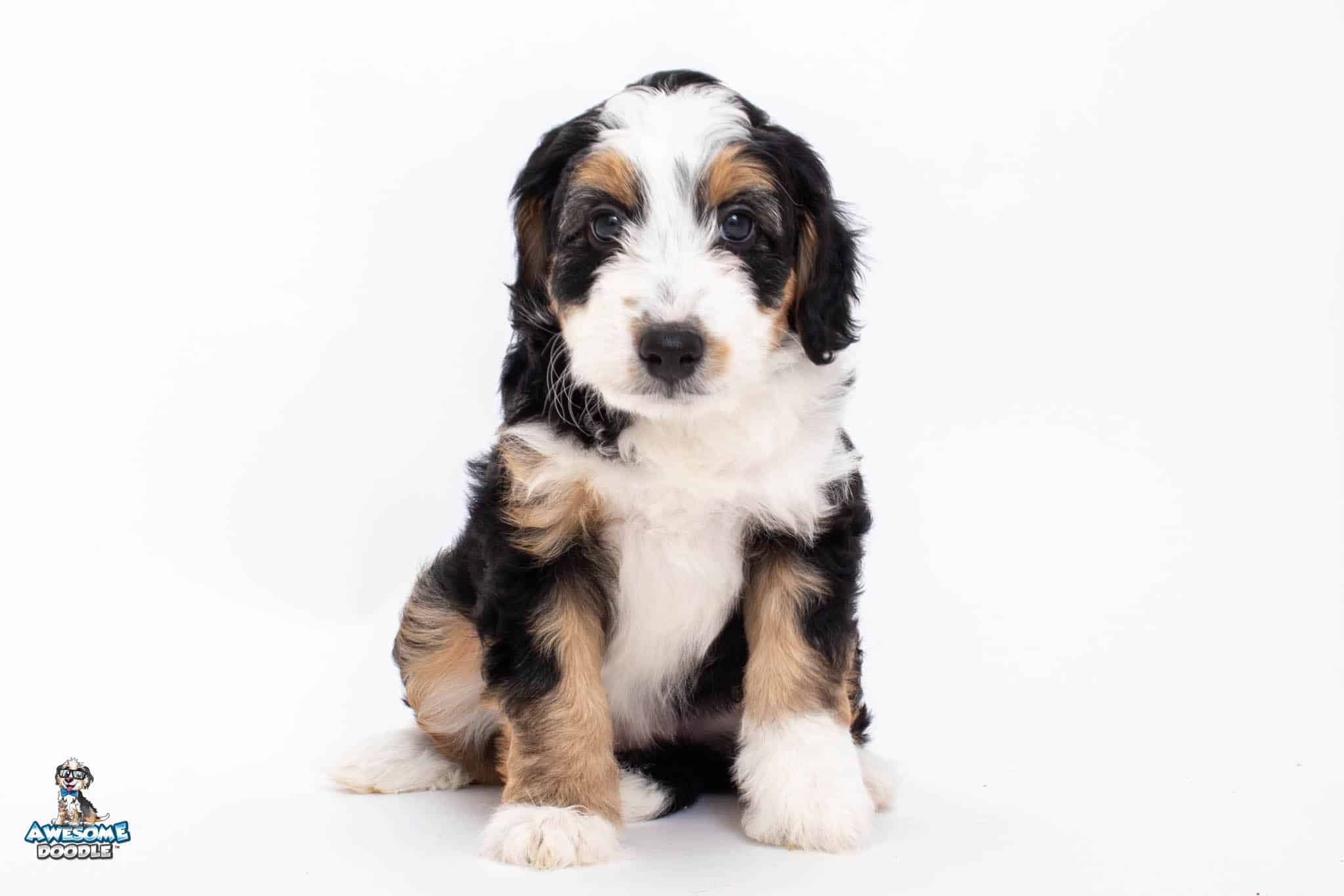 Maggie7wk7395