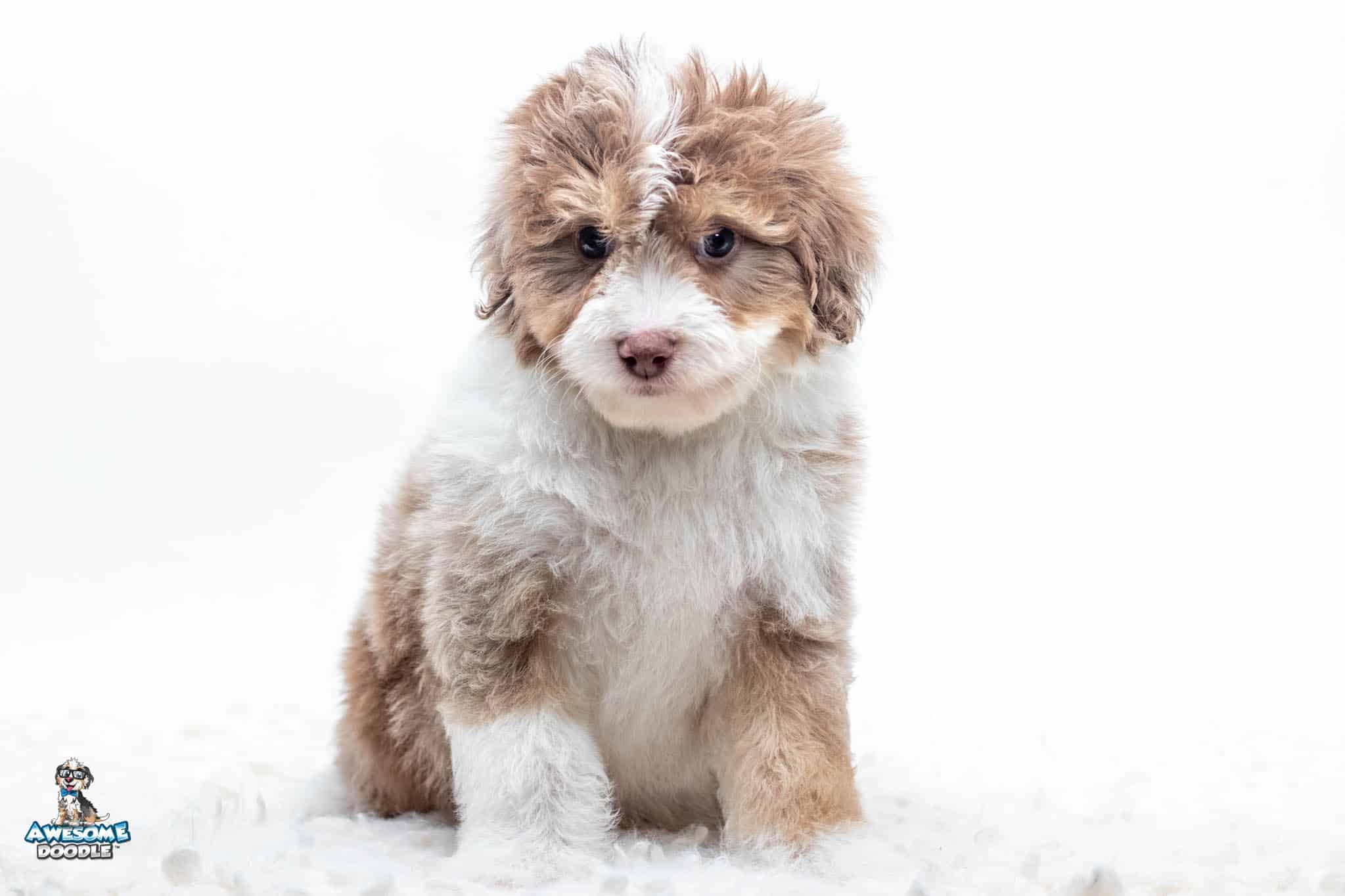 Marley7wk5508