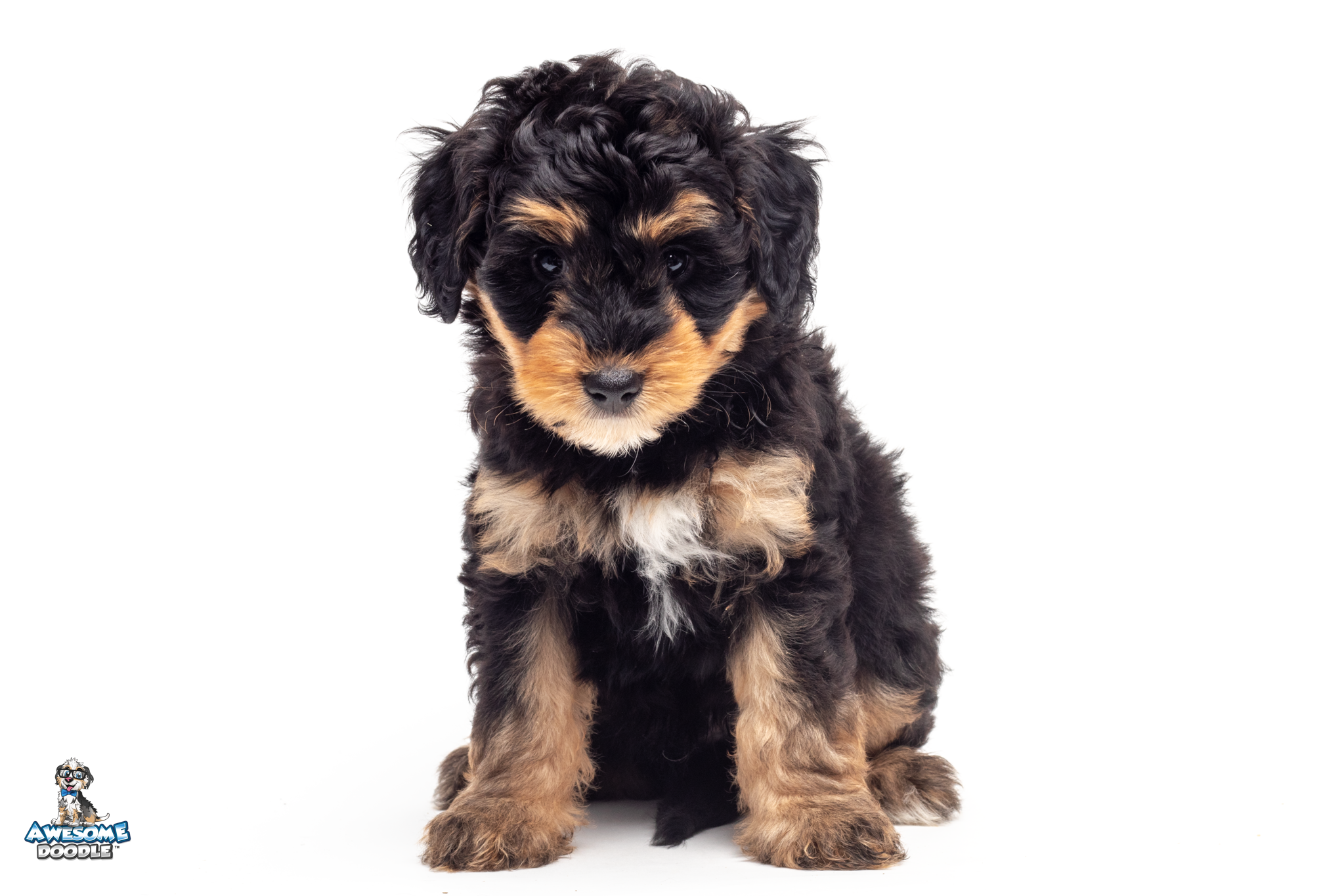 Benny6wk9819
