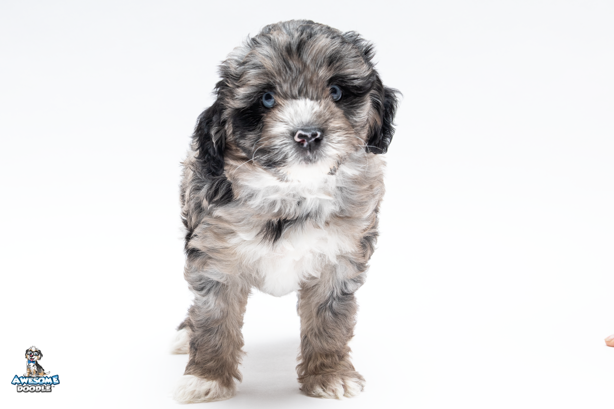Harvey7wk8944-2