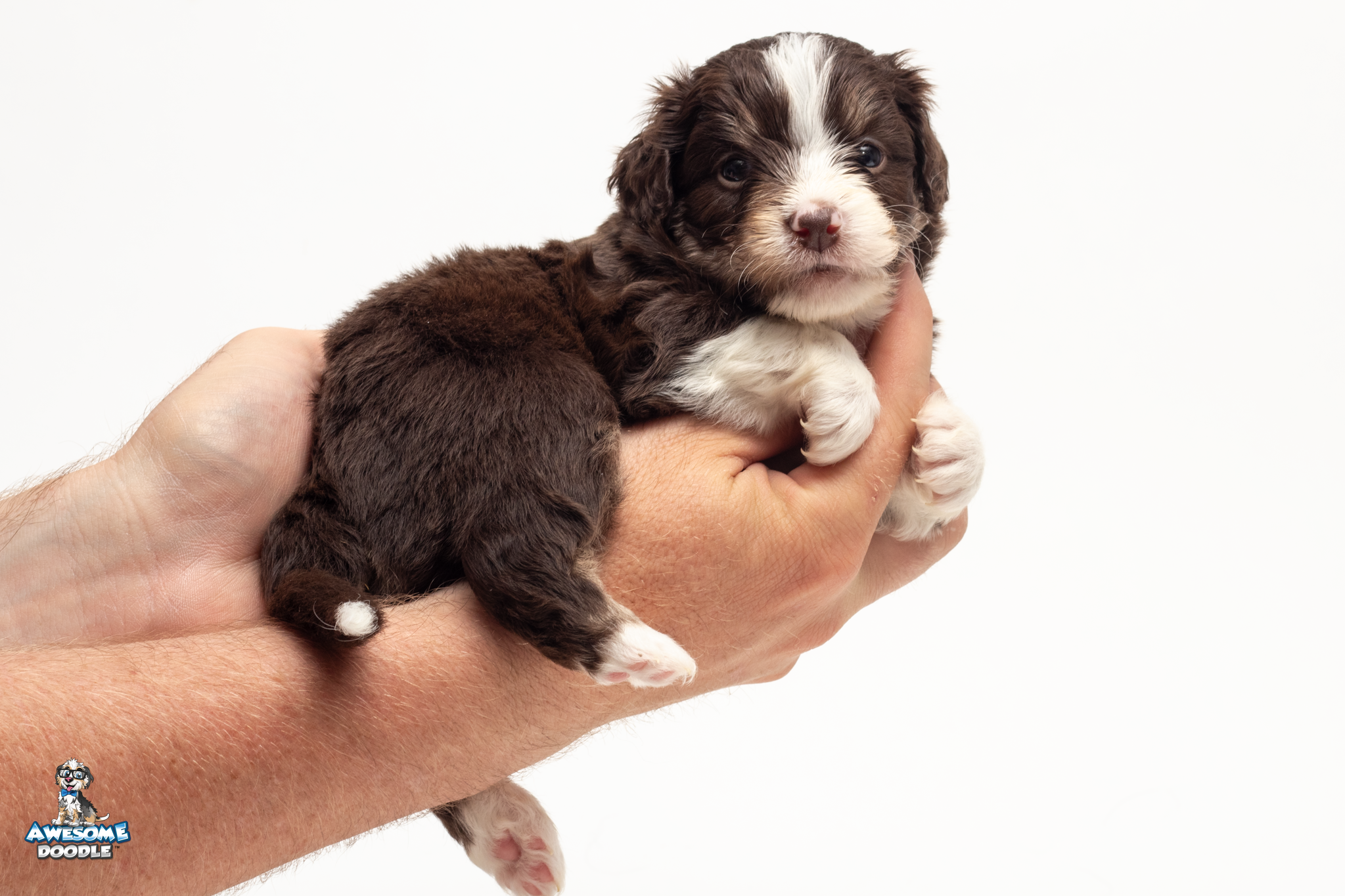 Haymitch4wk0310