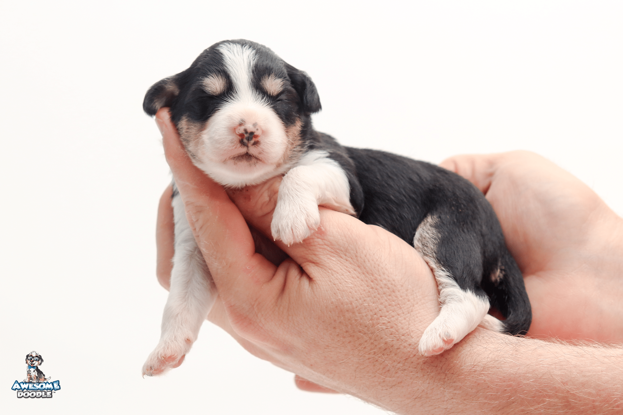 Katniss2wk9717