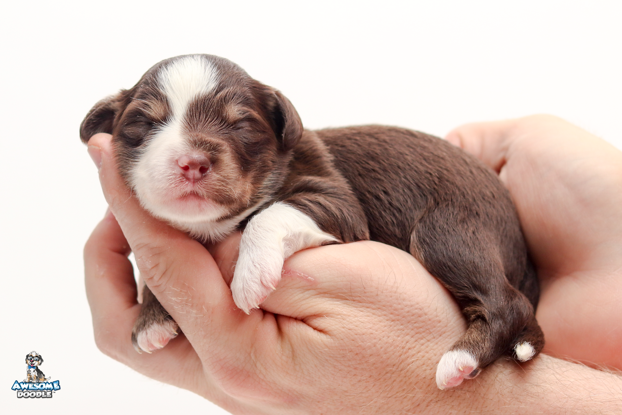 Peeta2wk9611