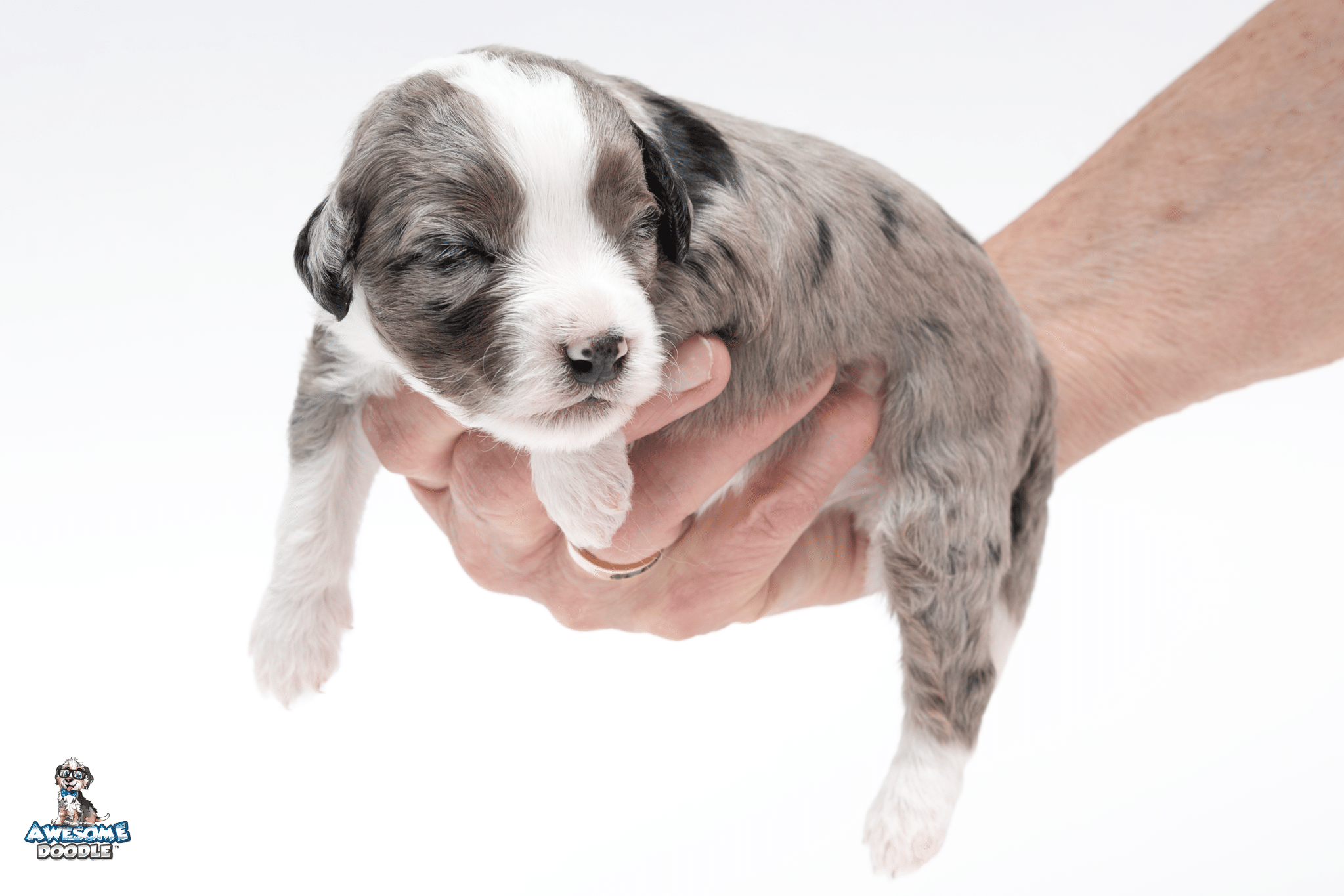 Racer2wk8492