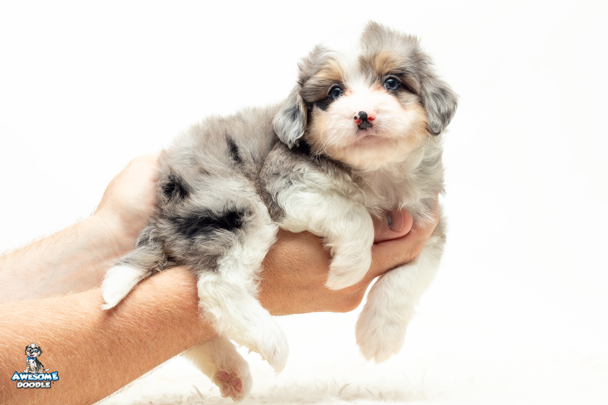 Pua5wk2416
